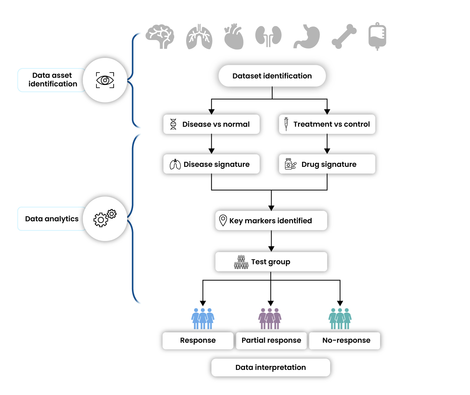 Data Asset Creation for Patient Stratification
