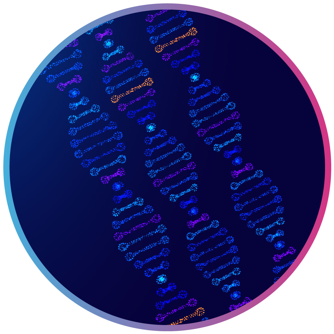 DNA Helix