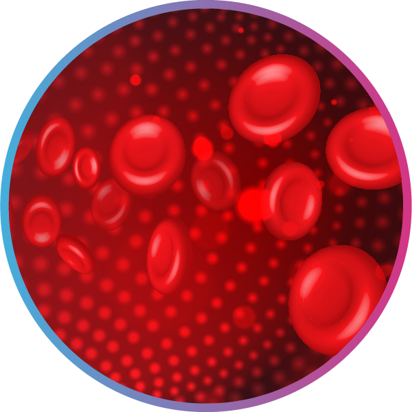 feline-diabetes-peptide-design-value