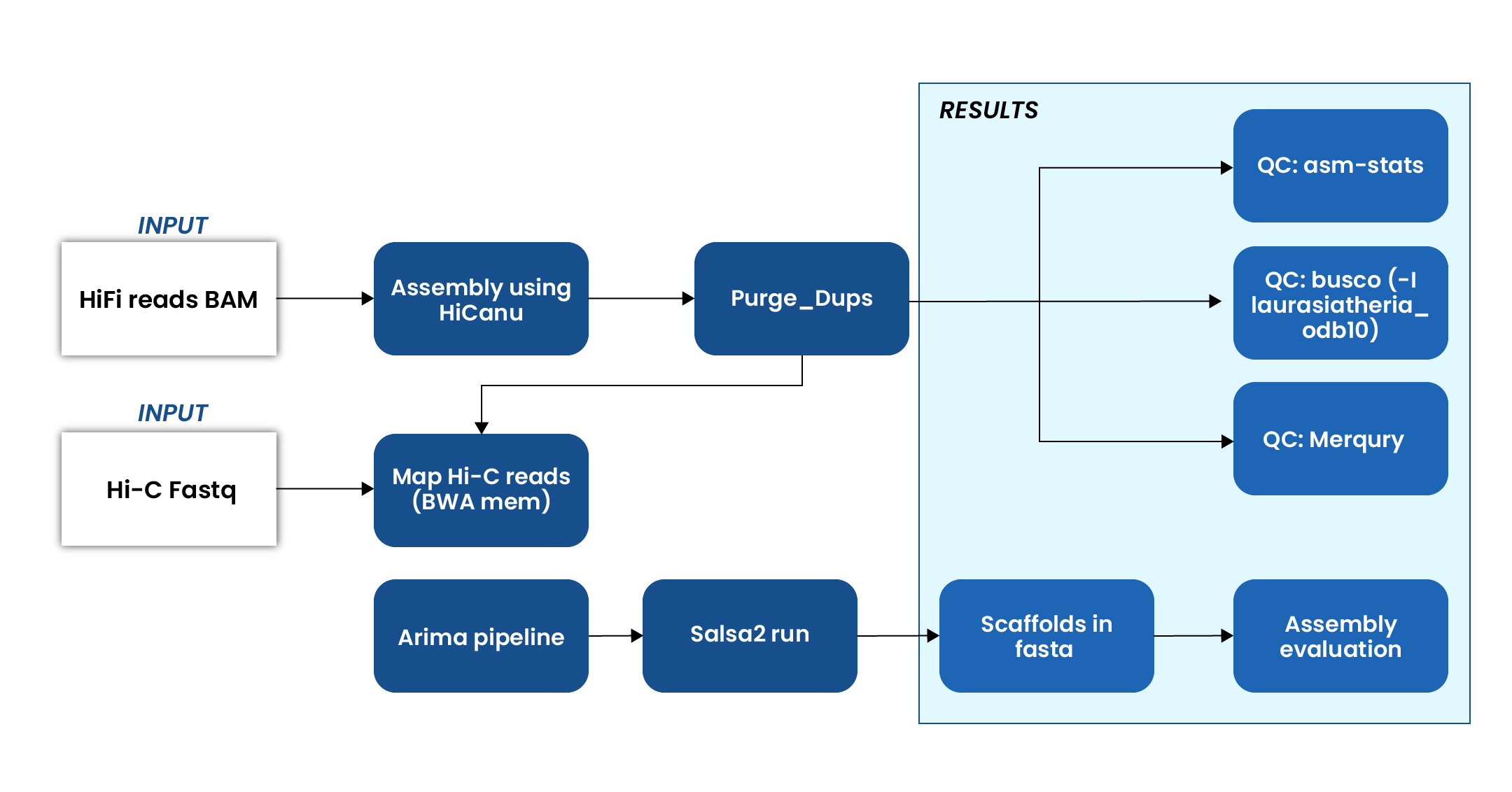 scalable-bat-genome-framework